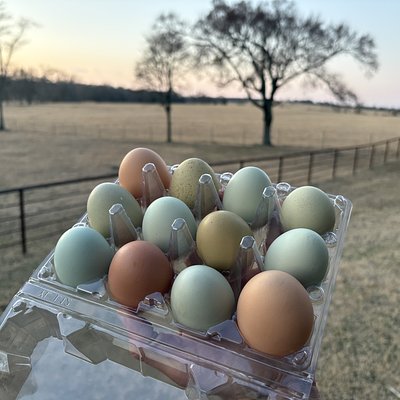 Eggs - 1 Dozen Unwashed