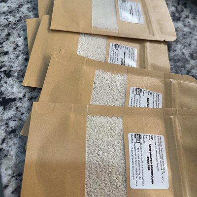 Dehydrated Sourdough Starter 10g