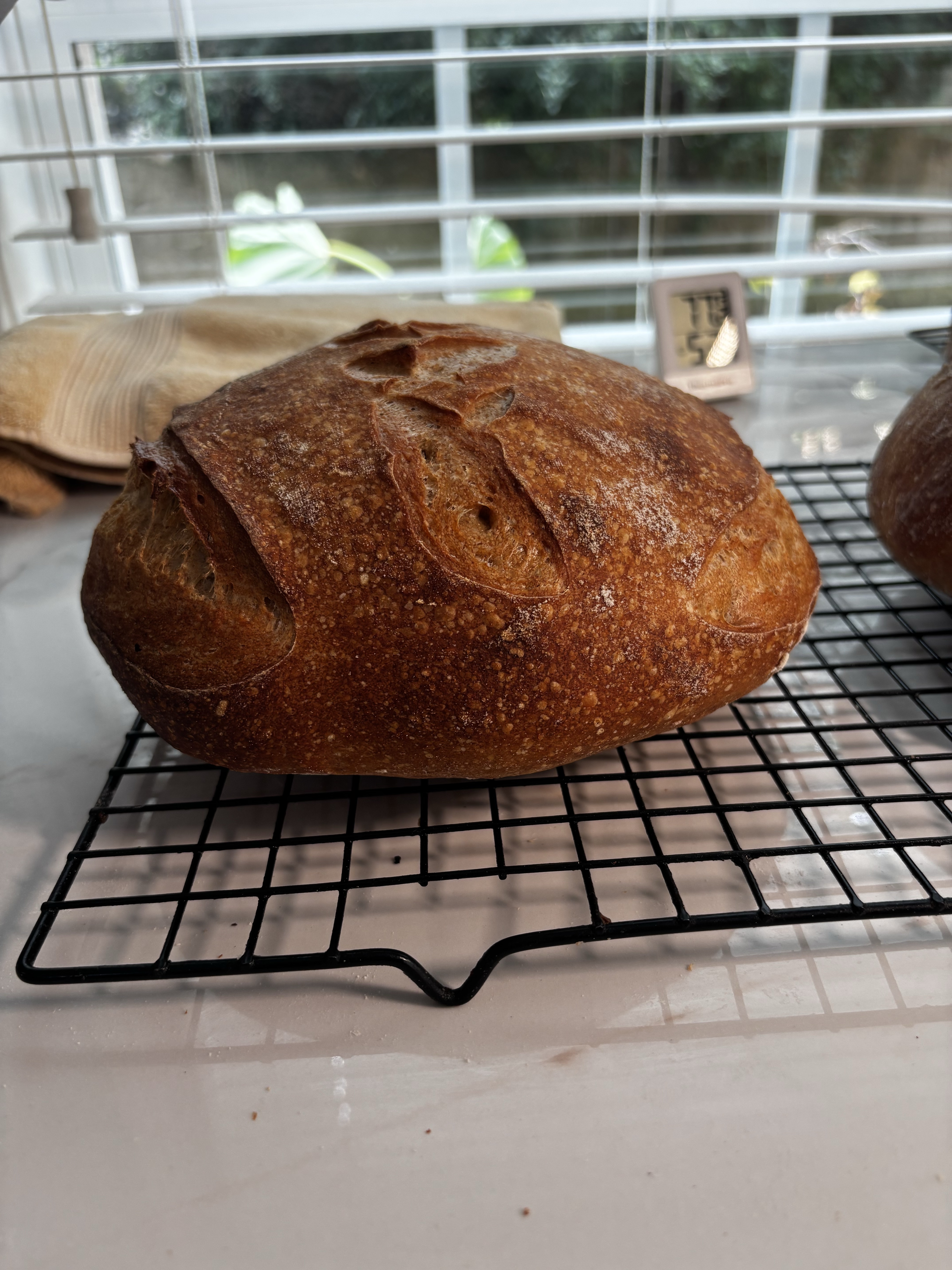 SweetLife Country Wheat Sourdough