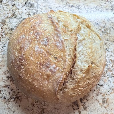 Rosemary Garlic Artisan Sourdough Loaf 
