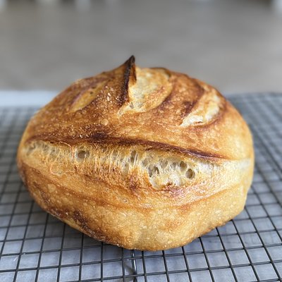 Plain Sourdough Loaf