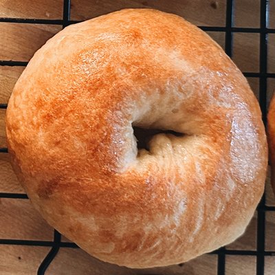 8 Pack Plain Bagels