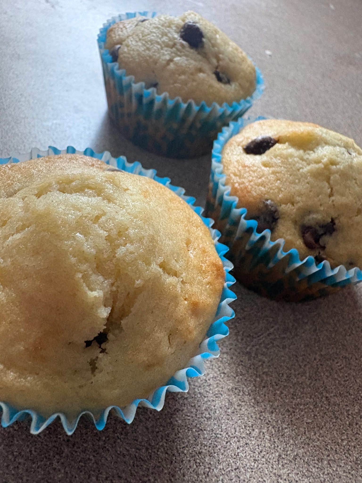 Sourdough Chocolate Chip Muffins