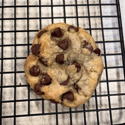 Chocolate Chip 