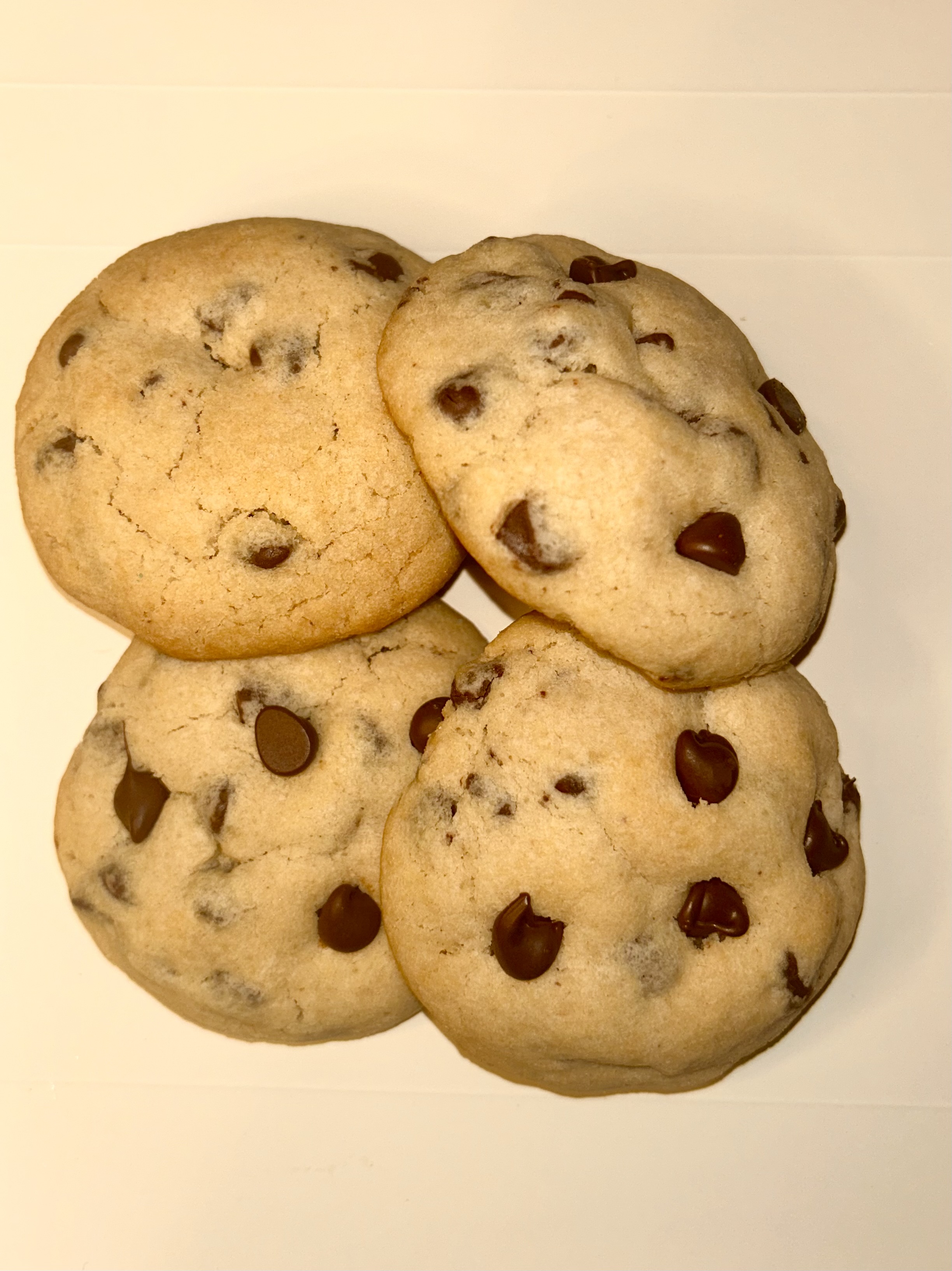 Chocolate Chip Cookie