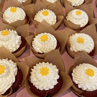 1 Dozen Cupcakes 