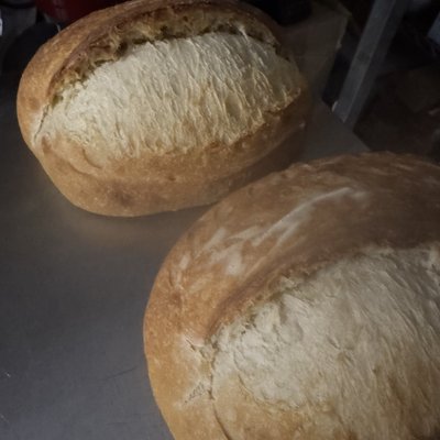 Plain Jane Sourdough Sandwich Bread