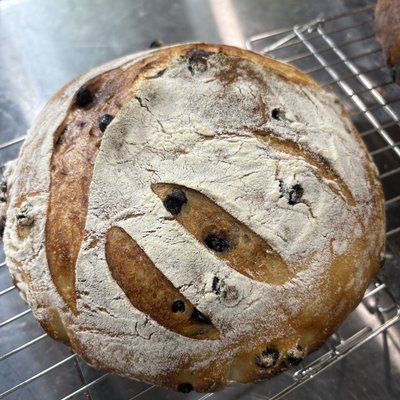 Lemon Blueberry Sourdough