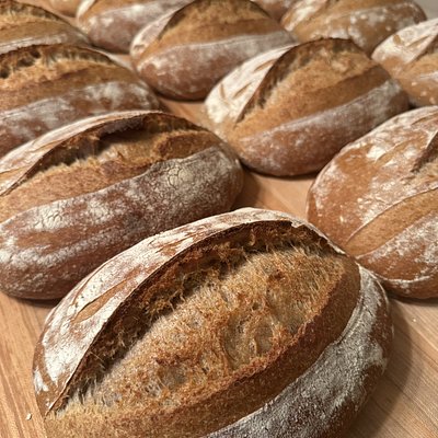Country Wheat Sourdough 