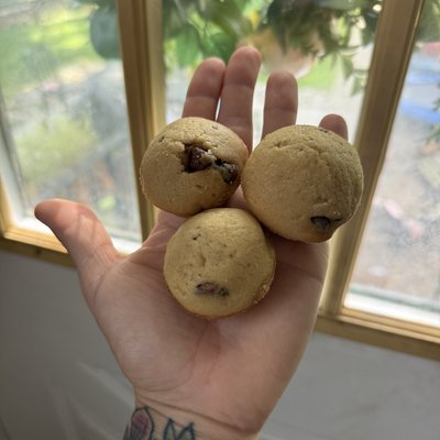 Sourdough Chocolate Chip Mini Muffins