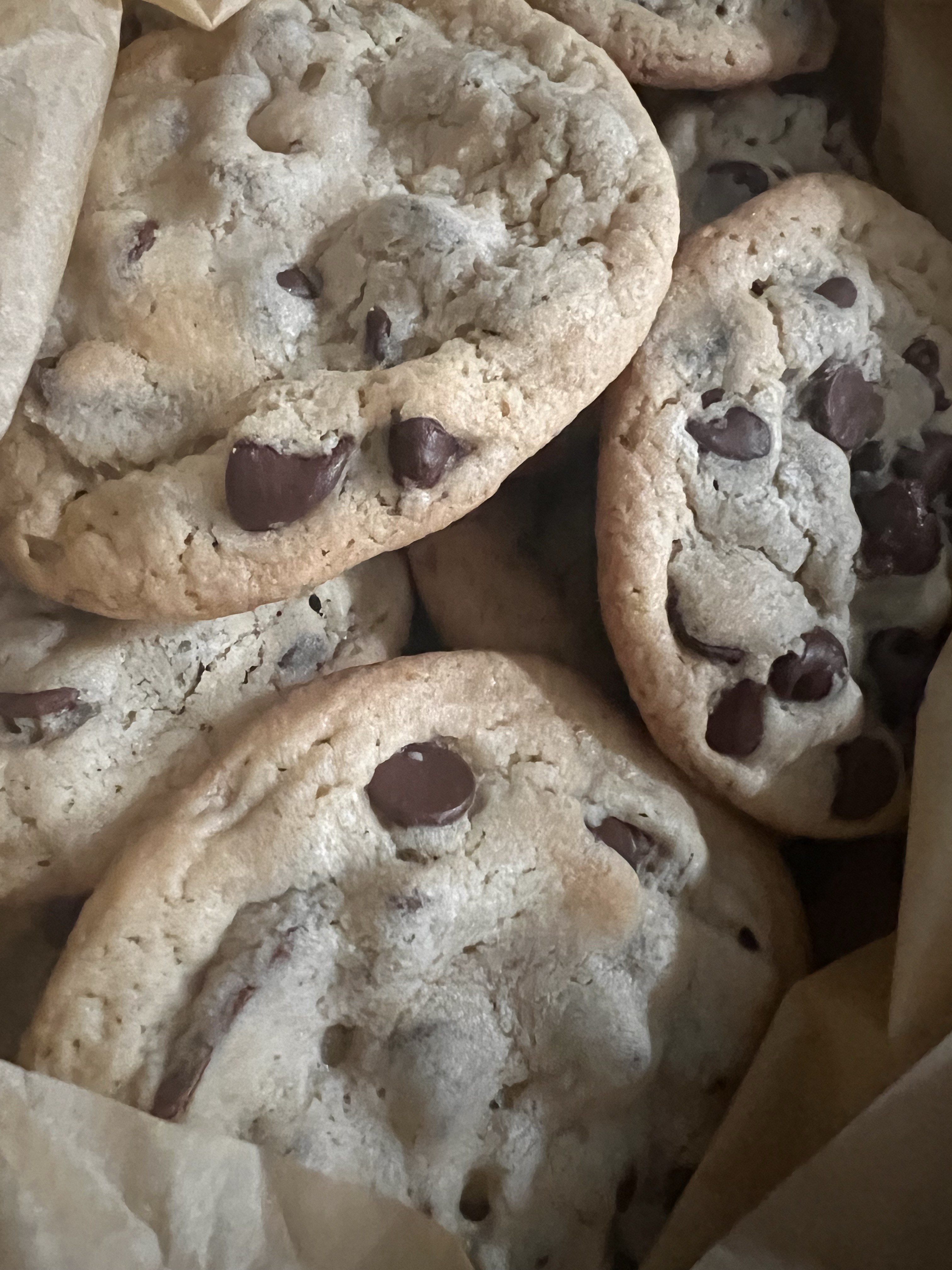 Chocolate Chip Cookies - 12
