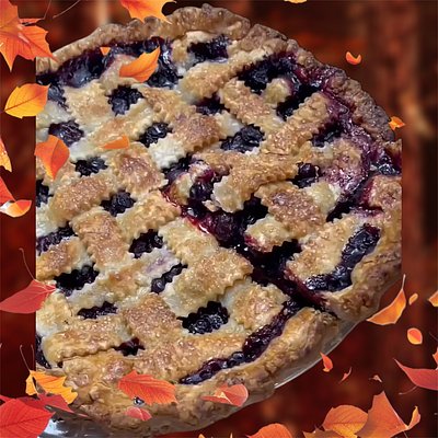 Blueberry 🫐 