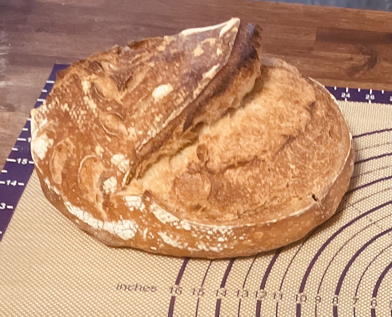 Sourdough Artisan bread 