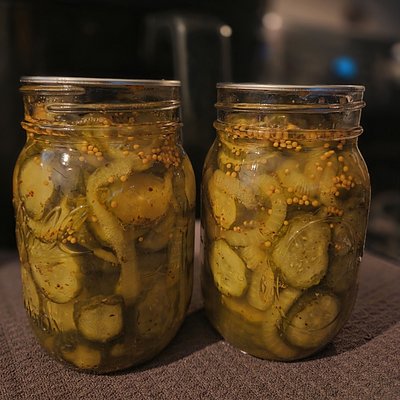 Bread & Butter Pickles- 16oz.