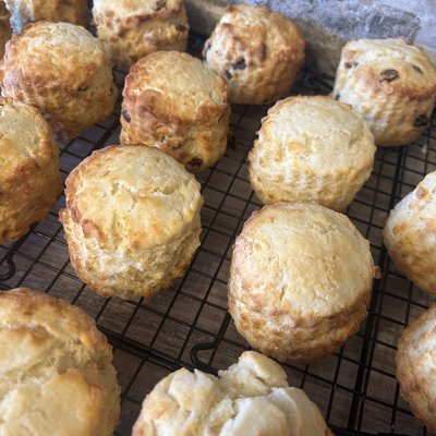 Plain or Fruit Scones (Box of 4)