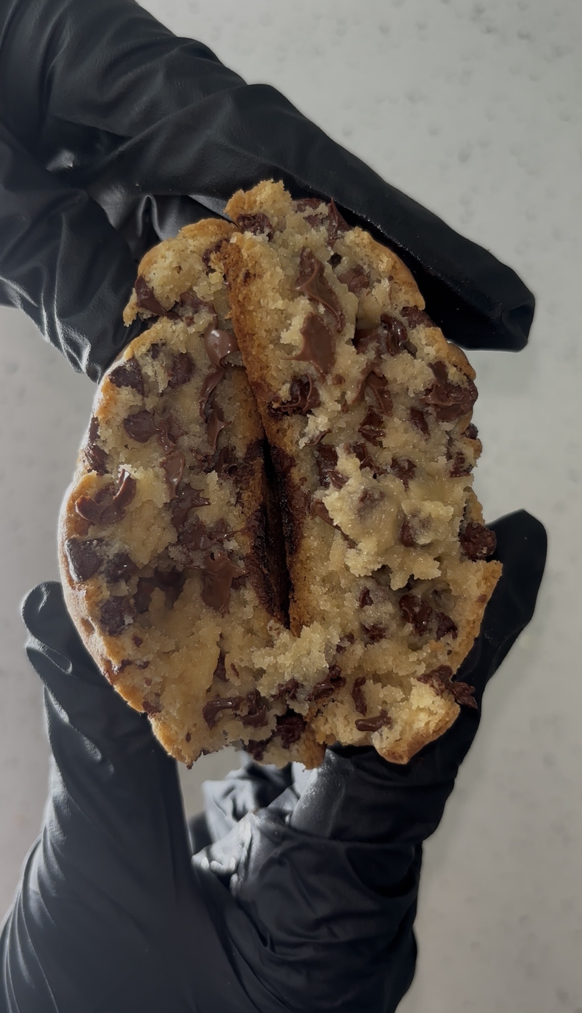 Chocolate Chip Cookie 