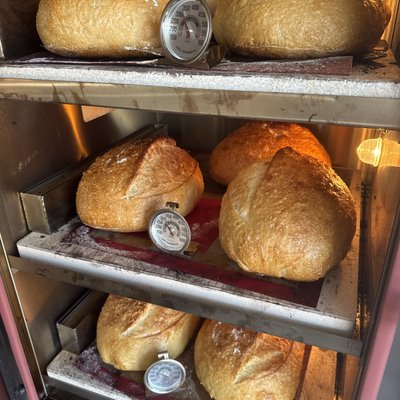 Original Sourdough Boule 