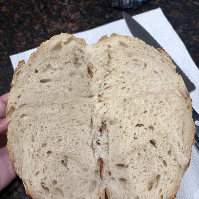 Regular Sourdough Loaf