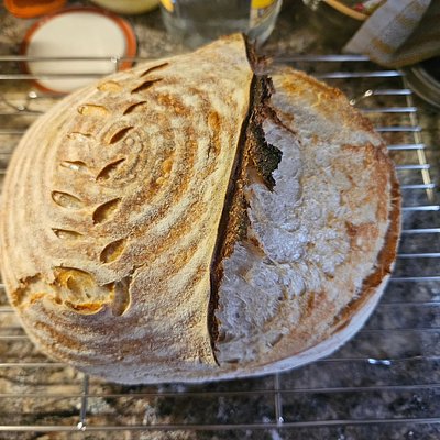 Artisan Sourdough Loaf