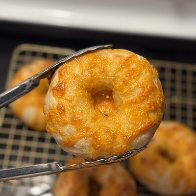 Sourdough Cheddar Bagel •6•