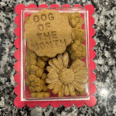 Grain Free Specialty Pack