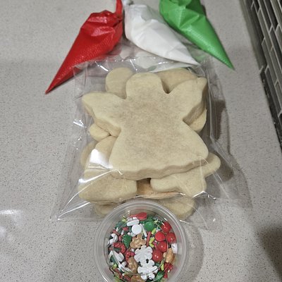 Themed Decorating Cookie Kit for Party