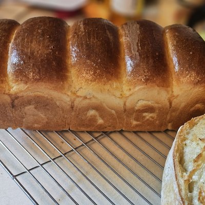 Brioche