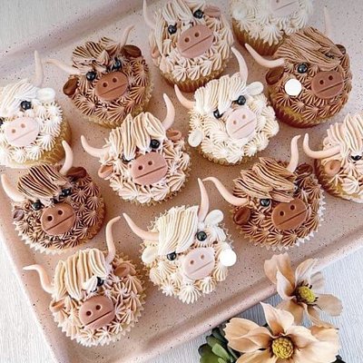 6 Cupcakes - Highland Cows