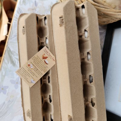 Farm Fresh Chicken Eggs - Dozen