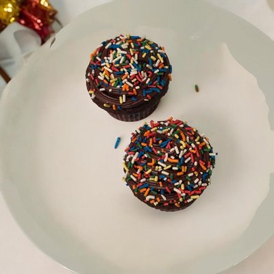 Chocolate Fudge Cupcakes With Sprinkles 