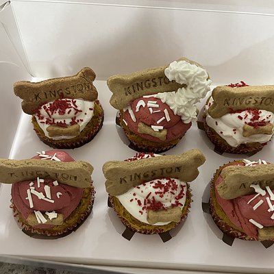 Pupcakes 1 Dozen
