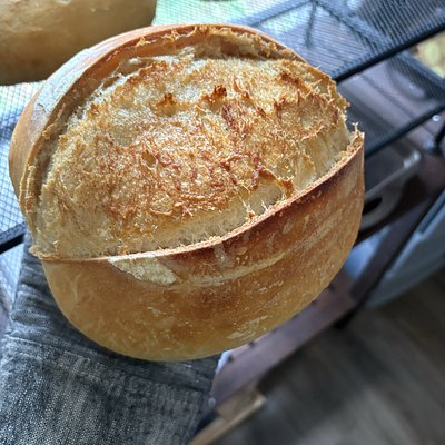 Plain Artisan Sourdough Loaf