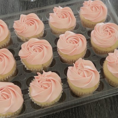Cupcakes No Design 