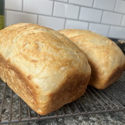 Sandwich Bread
