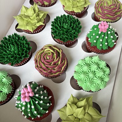 Succulent Cupcakes