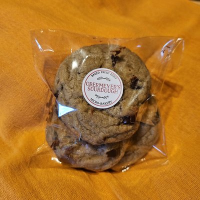 Chocolate Chip Cookie 🍪 