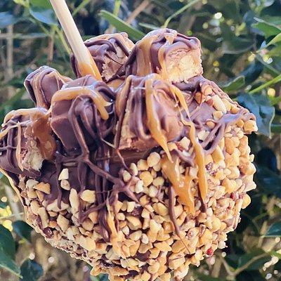 Gourmet Caramel or Chocolate Apples