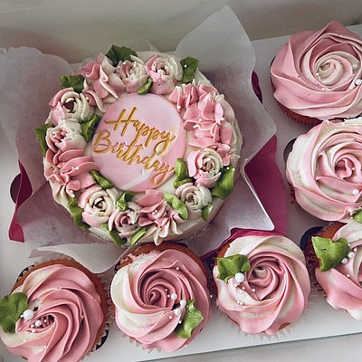 Bento Cupcake Box
