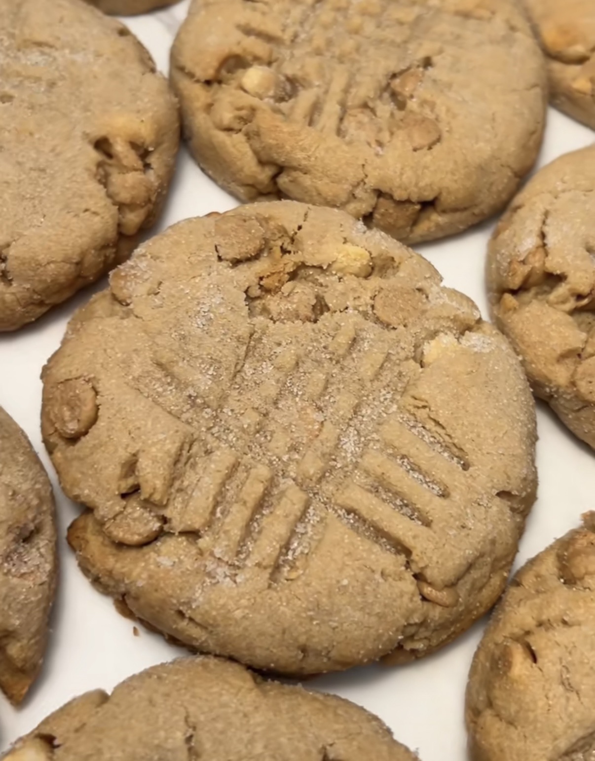 Peanut Butter (12ct)