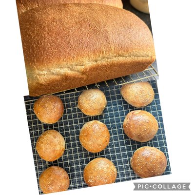 Bread