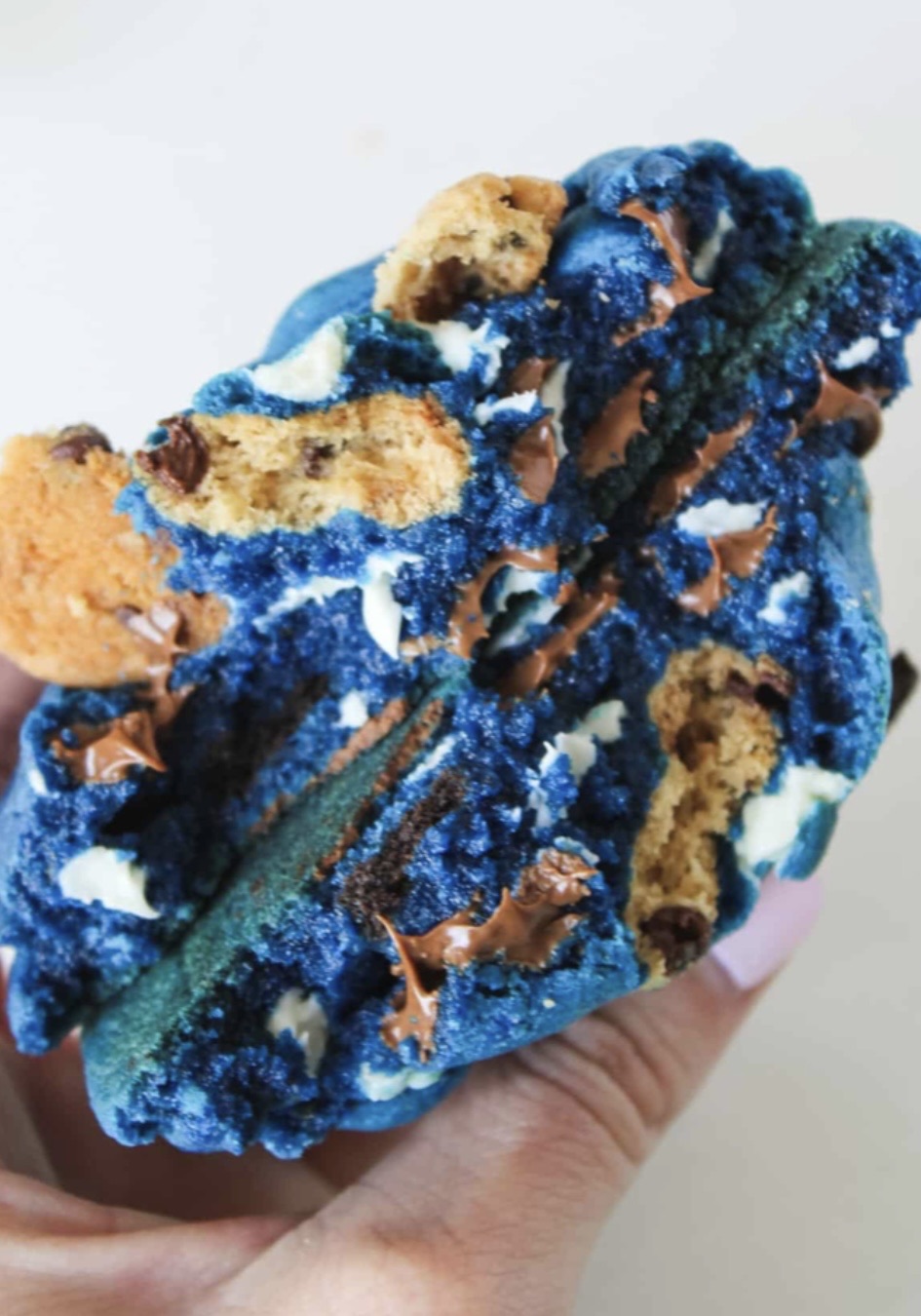Monster Cookie