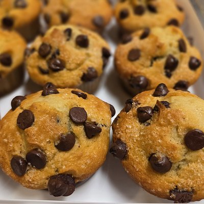 6 Chocolate Chip Muffins 