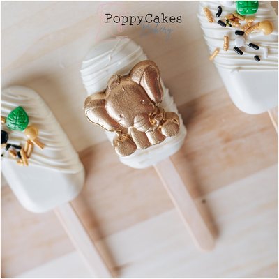 Cakesicles 