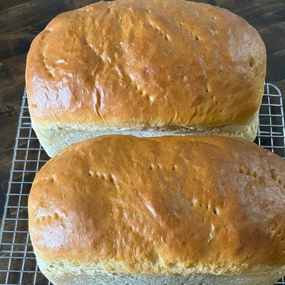 Light Wheat Bread