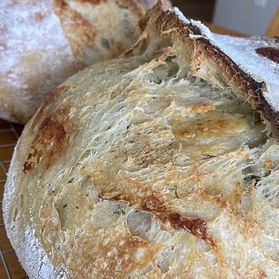 White Cheddar Dill Sourdough
