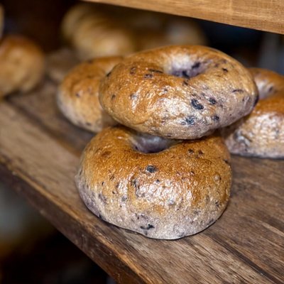 Blueberry Sourdough Bagels