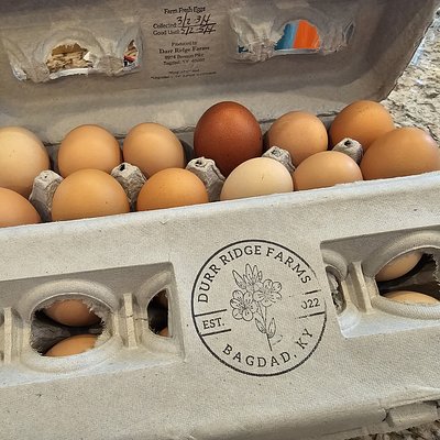 Dozen Eggs