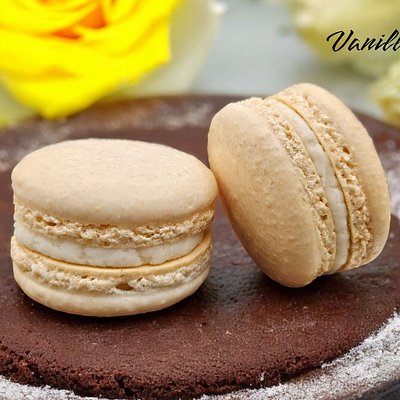 Vanilla Macaron 