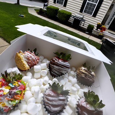 chocolate covered berries large
