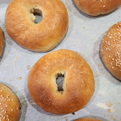 Plain Bagel Box (6)